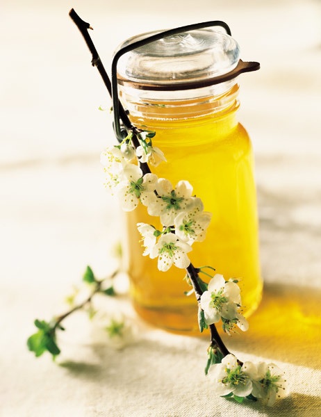 Honey Blossom 170322 191952