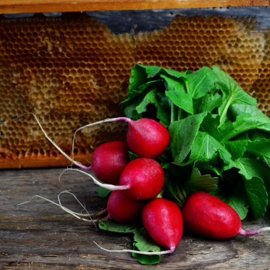 Radishes and Honeycomb